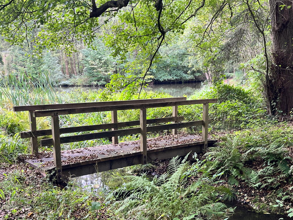 23-09-22 11-07-32 7235